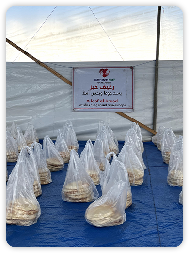 الألبـــوم 4